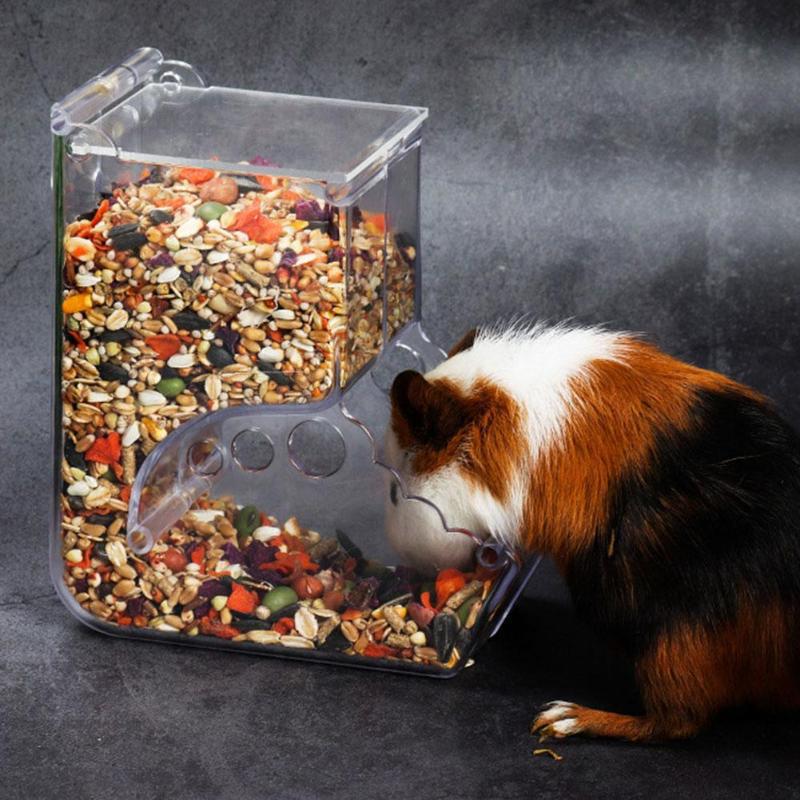 Hamster Feeder Food Box: The Ultimate Solution for Your Furry Friend